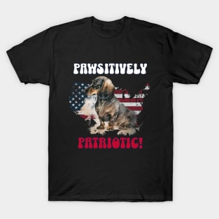 4th of July Independence Day Patriotic Dachshund Funny Design for Dog Lovers T-Shirt